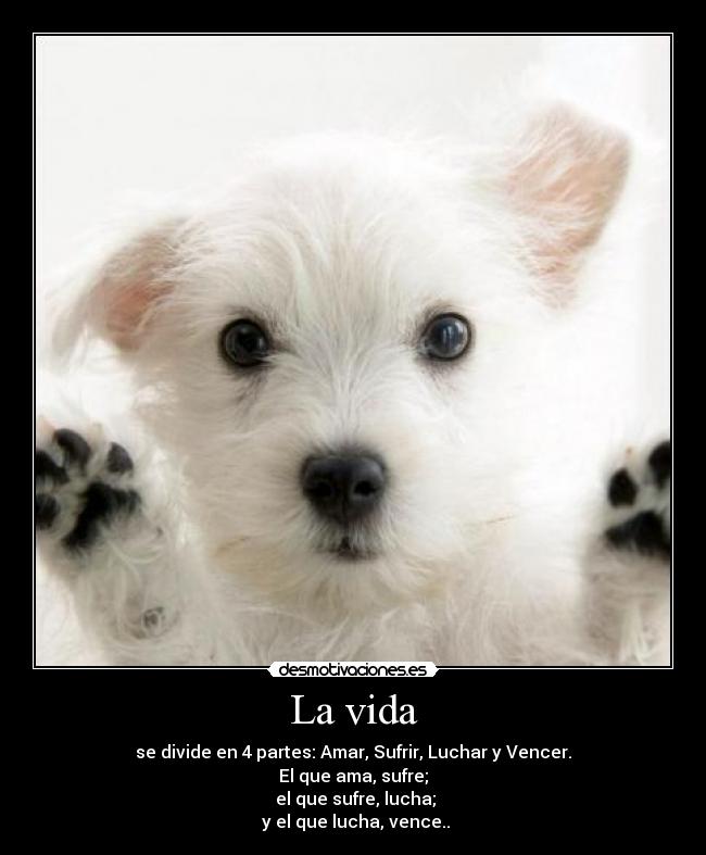La vida - 