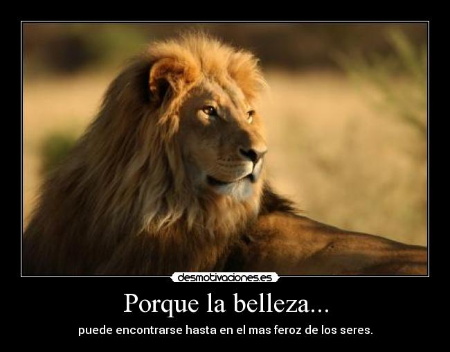 Porque la belleza... - puede encontrarse hasta en el mas feroz de los seres.