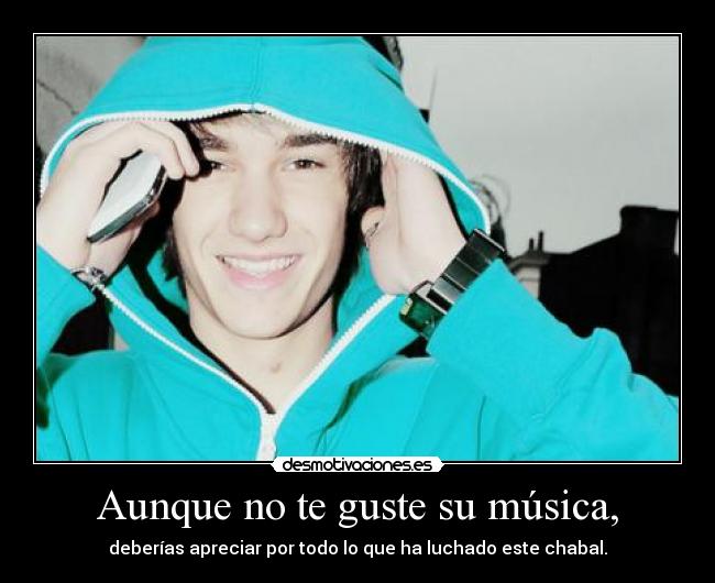 carteles musica leiremg desmotivaciones