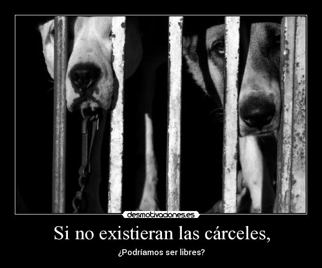 Si no existieran las cárceles, - ¿Podríamos ser libres?