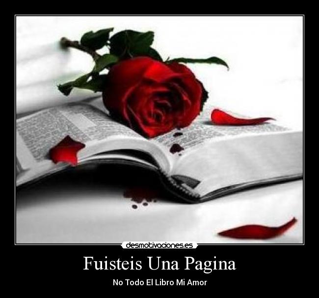 Fuisteis Una Pagina - No Todo El Libro Mi Amor