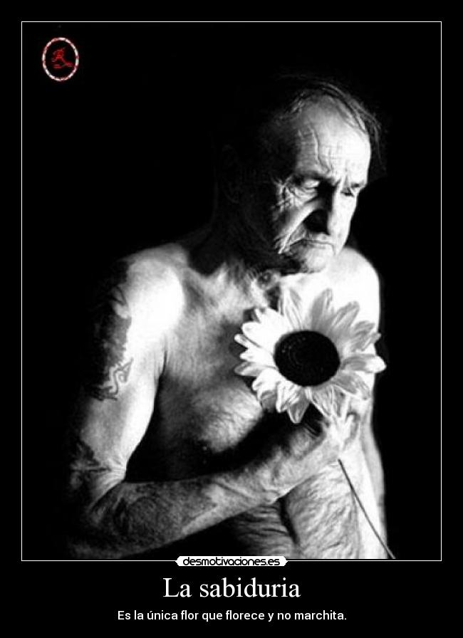 carteles rumpelstiltskin one shot one kill desmotivaciones