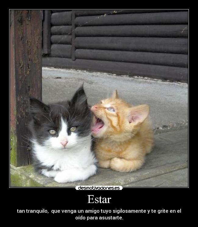 Estar - 