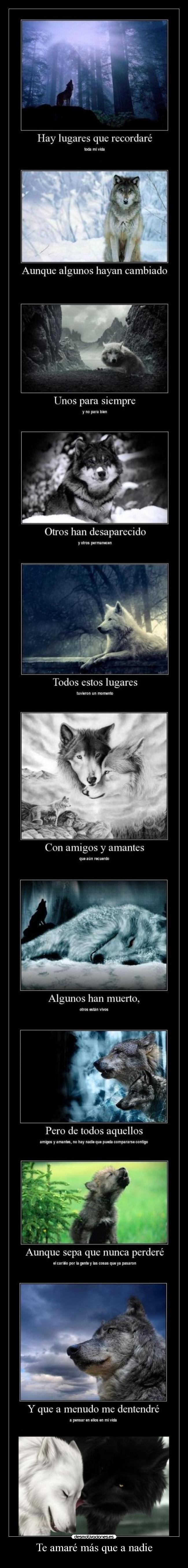 Te amaré más que a nadie - 