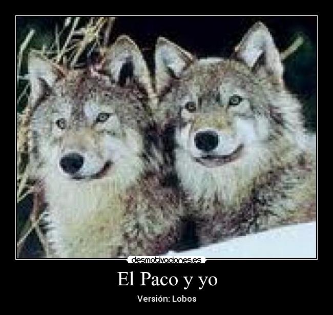 El Paco y yo - Versión: Lobos