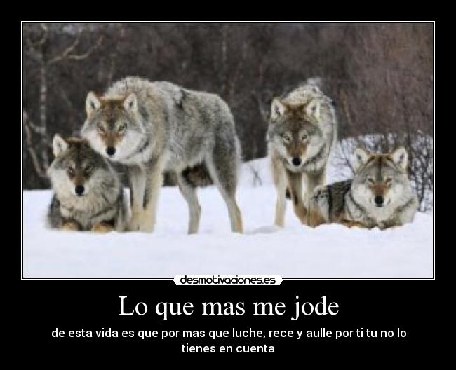 Lo que mas me jode -