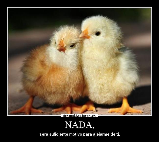 NADA, -