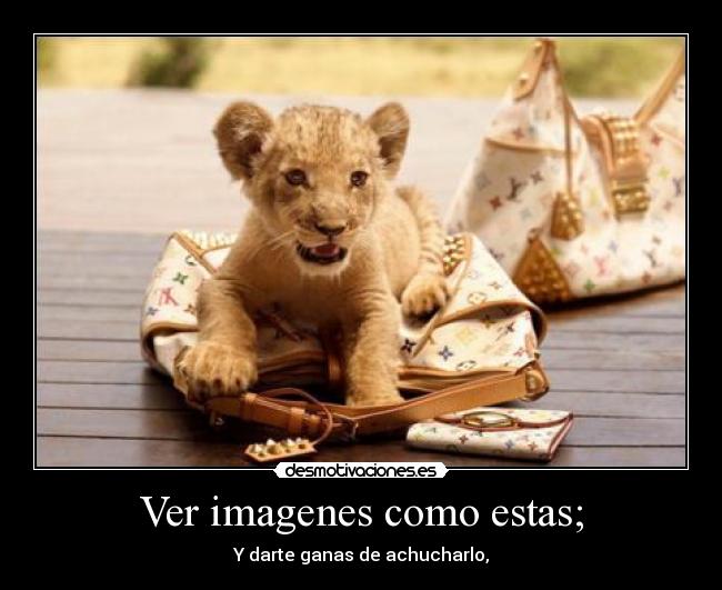 Ver imagenes como estas; - Y darte ganas de achucharlo,