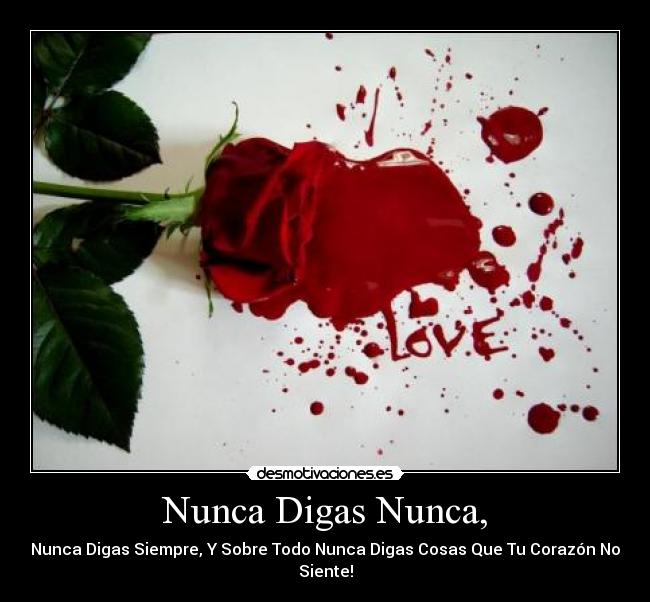 Nunca Digas Nunca, -