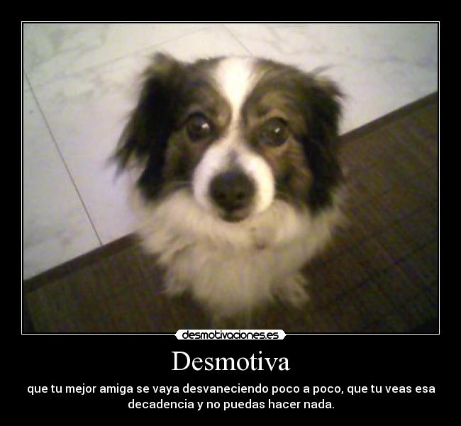 Desmotiva - que tu mejor amiga se vaya desvaneciendo poco a poco, que tu veas esa
decadencia y no puedas hacer nada.