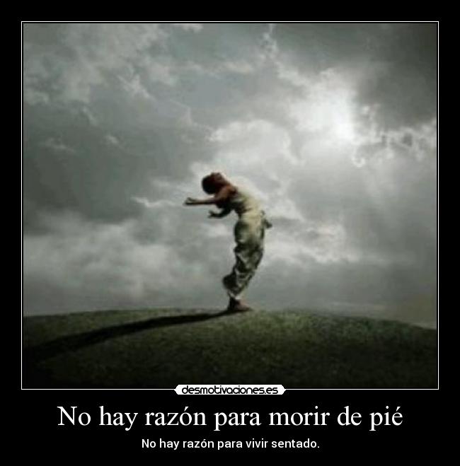 No hay razón para morir de pié -