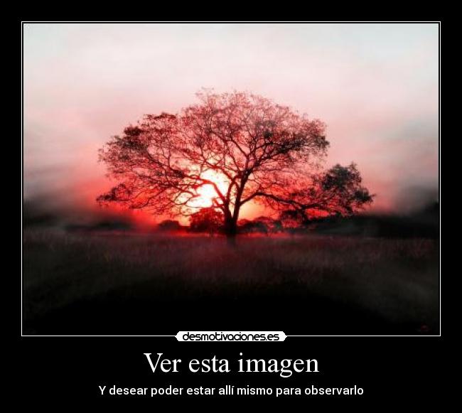 Ver esta imagen - 