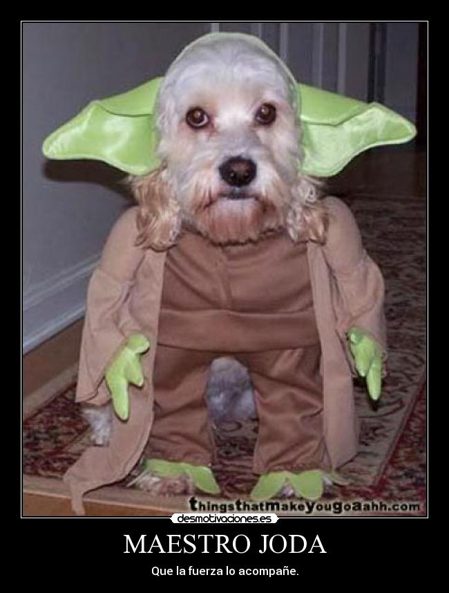 MAESTRO JODA - Que la fuerza lo acompañe.
