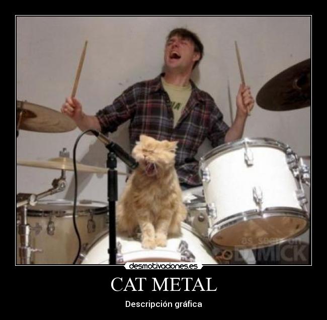 CAT METAL -