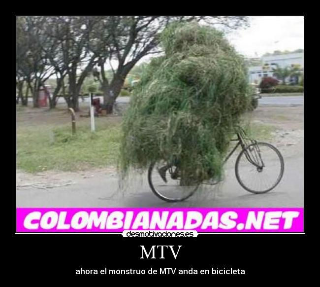 MTV -