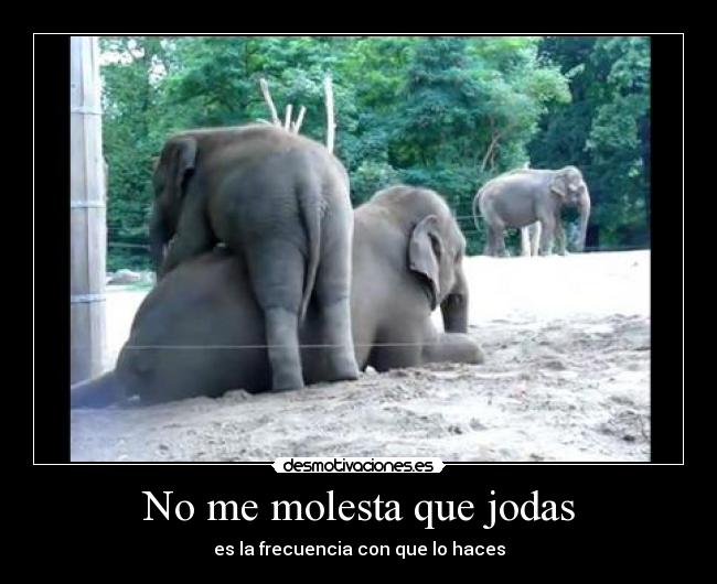 No me molesta que jodas - 