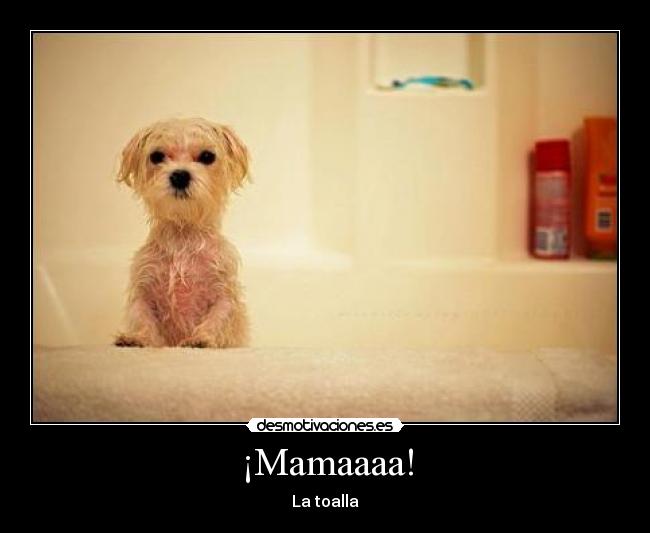 ¡Mamaaaa! - 