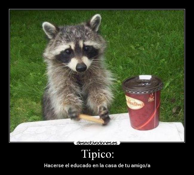 Tipico: - Hacerse el educado en la casa de tu amigo/a