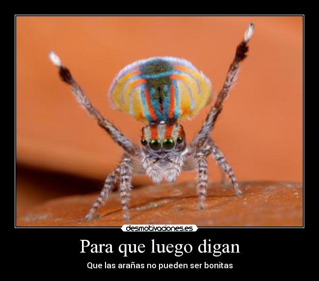 Para que luego digan -