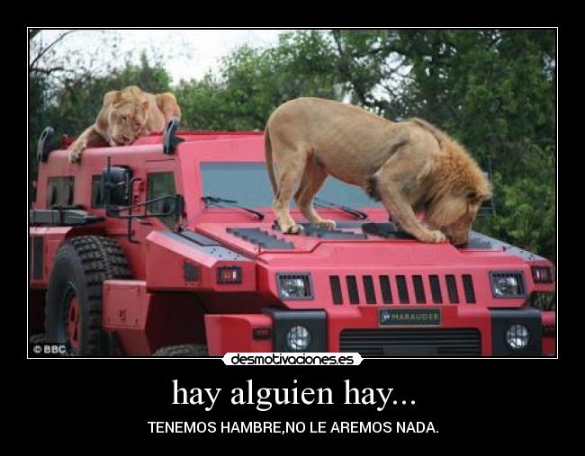 hay alguien hay... - TENEMOS HAMBRE,NO LE AREMOS NADA.