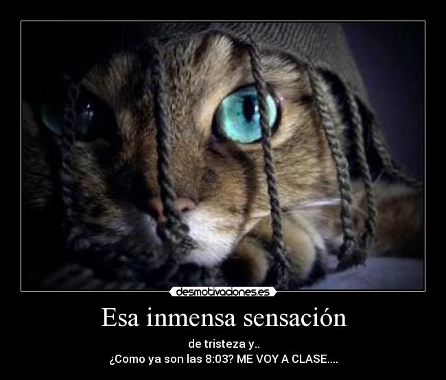 Esa inmensa sensación - de tristeza y..
¿Como ya son las 8:03? ME VOY A CLASE....