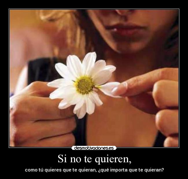 Si no te quieren, - como tú quieres que te quieran, ¿qué importa que te quieran?