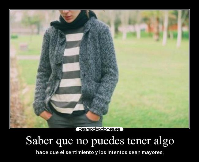 carteles sanuchi desmotivaciones