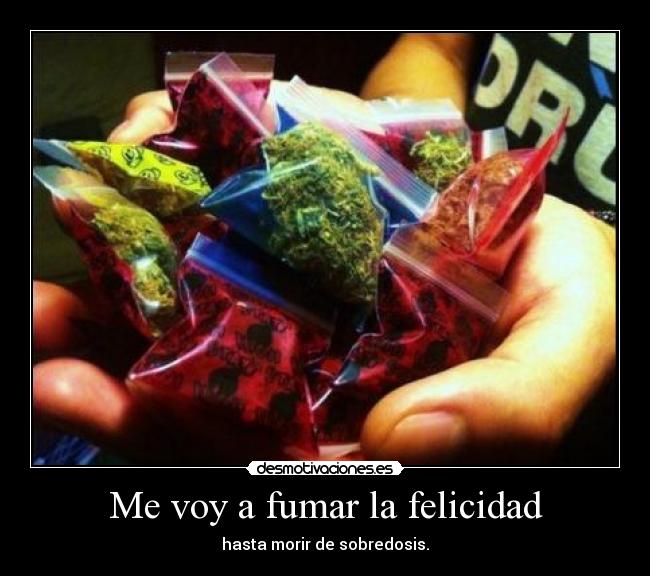 Me voy a fumar la felicidad - hasta morir de sobredosis.