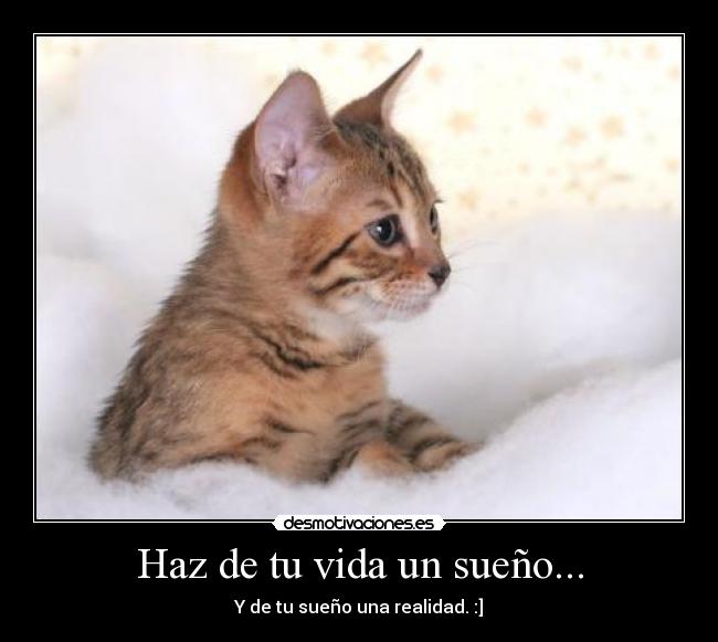 Haz de tu vida un sueño... -