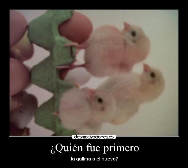 ¿Quién fue primero - la gallina o el huevo?