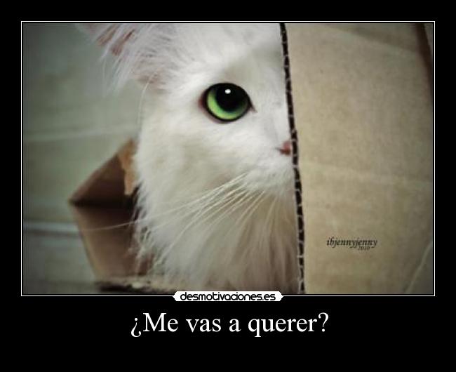 ¿Me vas a querer? -