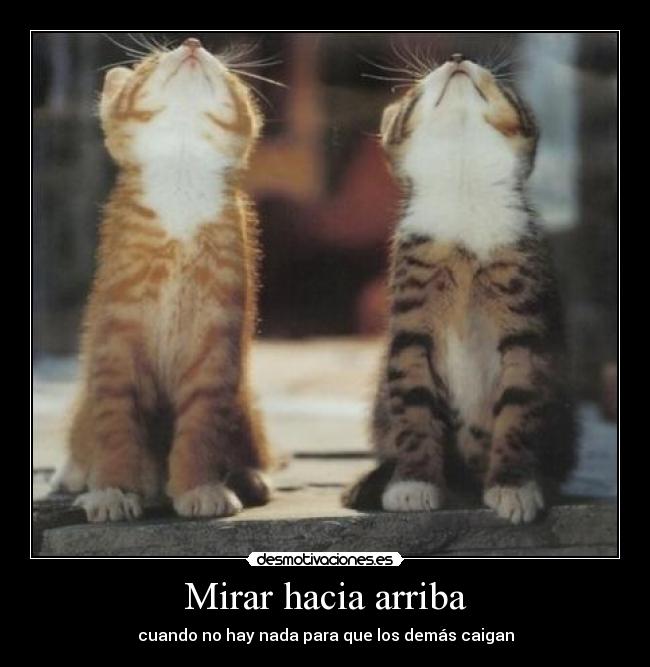 Mirar hacia arriba -