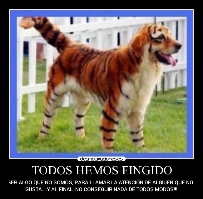 TODOS HEMOS FINGIDO -