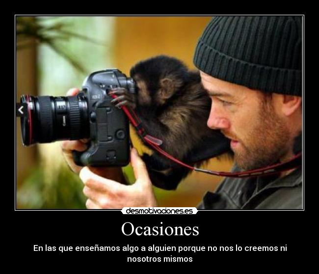 carteles mono sacando fotos mias pornograficas con pene erecto desmotivaciones