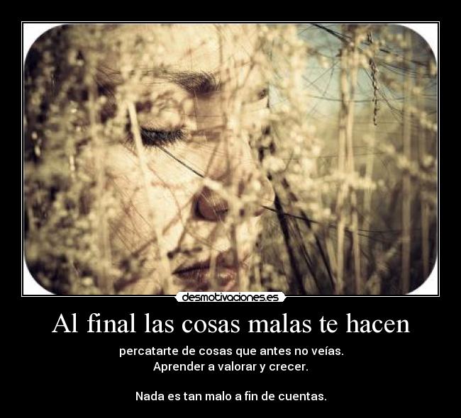 Al final las cosas malas te hacen - percatarte de cosas que antes no veías.
Aprender a valorar y crecer.
Nada es tan malo a fin de cuentas.