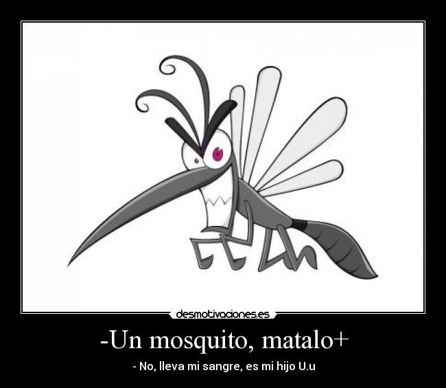 -Un mosquito, matalo+ -