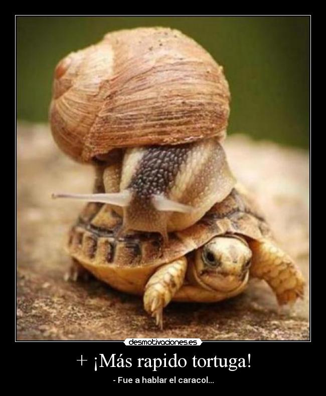 + ¡Más rapido tortuga! - - Fue a hablar el caracol...