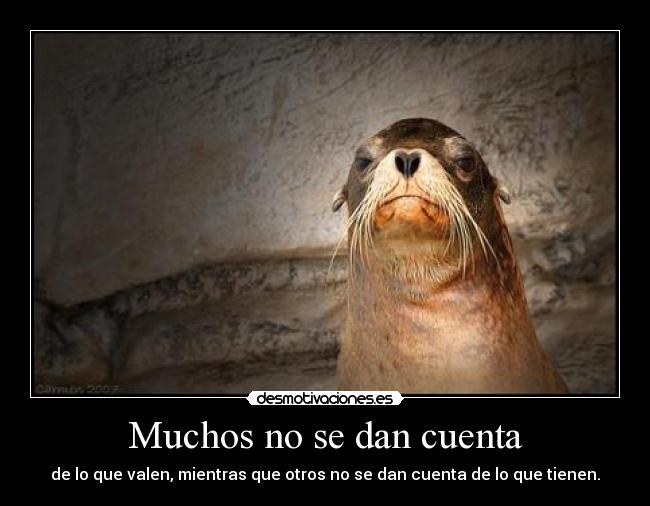 Muchos no se dan cuenta - de lo que valen, mientras que otros no se dan cuenta de lo que tienen.