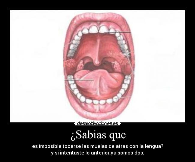 ¿Sabias que - es imposible tocarse las muelas de atras con la lengua?
y si intentaste lo anterior,ya somos dos.