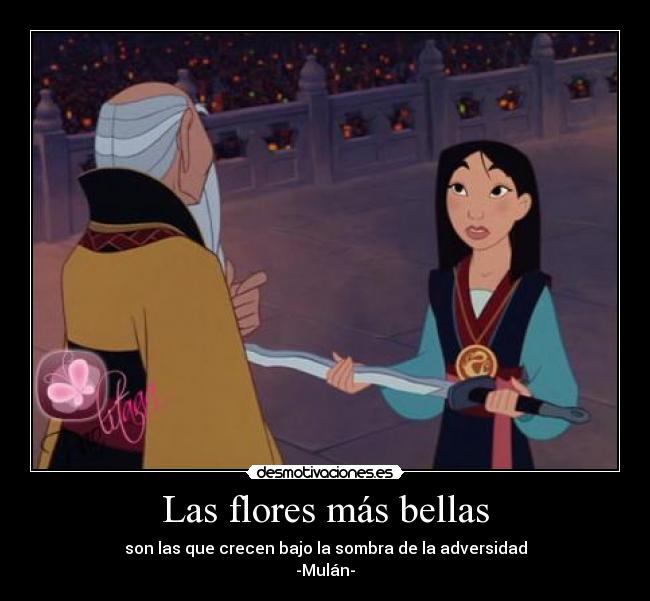 Las flores más bellas - 