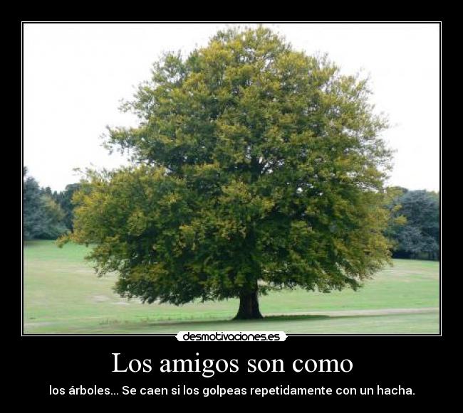 Los amigos son como - los árboles... Se caen si los golpeas repetidamente con un hacha.
