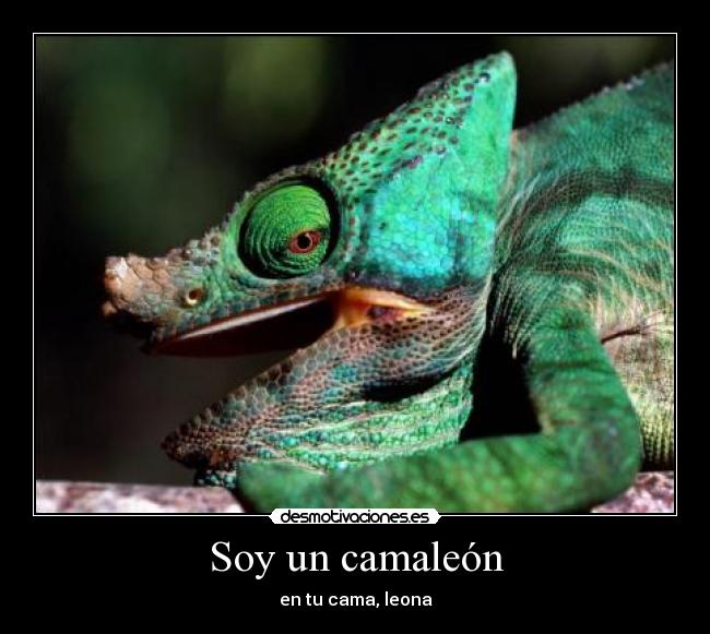 Soy un camaleón -