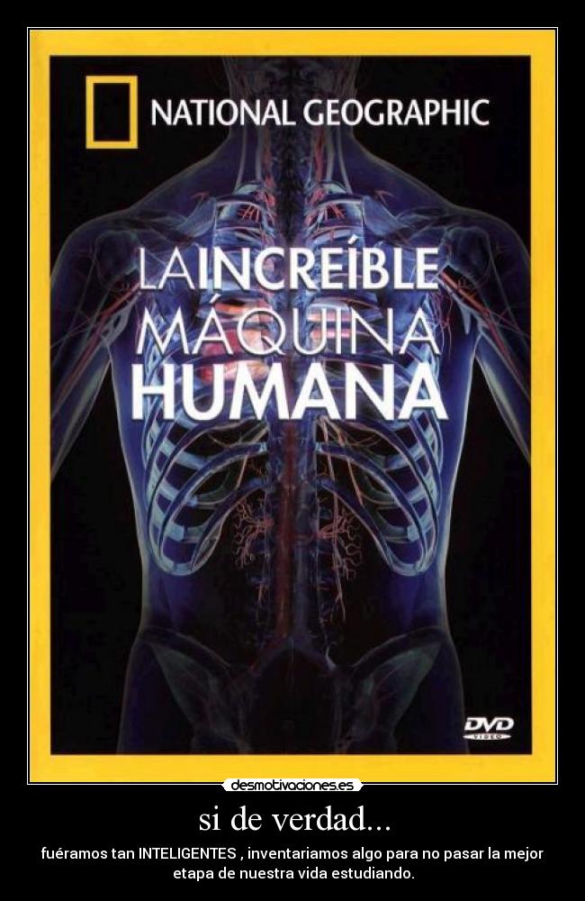 si de verdad... - fuéramos tan INTELIGENTES , inventariamos algo para no pasar la mejor
etapa de nuestra vida estudiando.