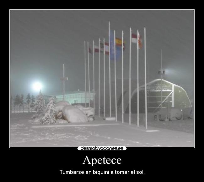 carteles sailly desmotivaciones