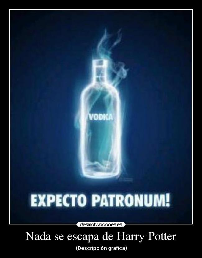 Nada se escapa de Harry Potter - (Descripción grafica)