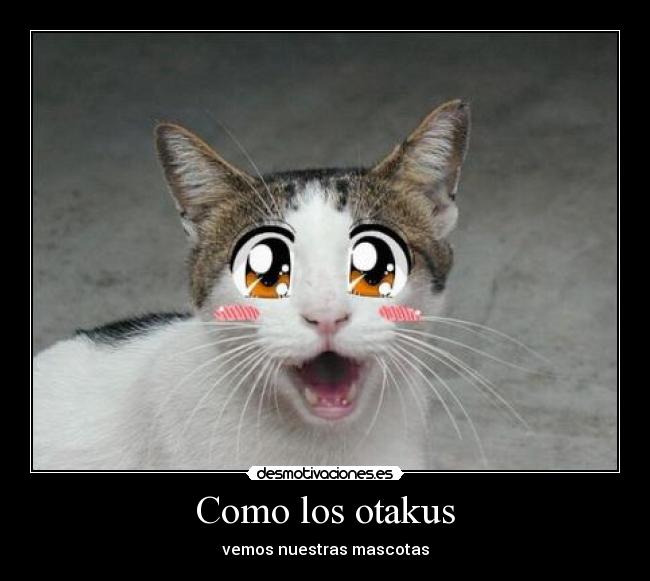 Como los otakus - 