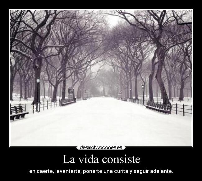 La vida consiste - 