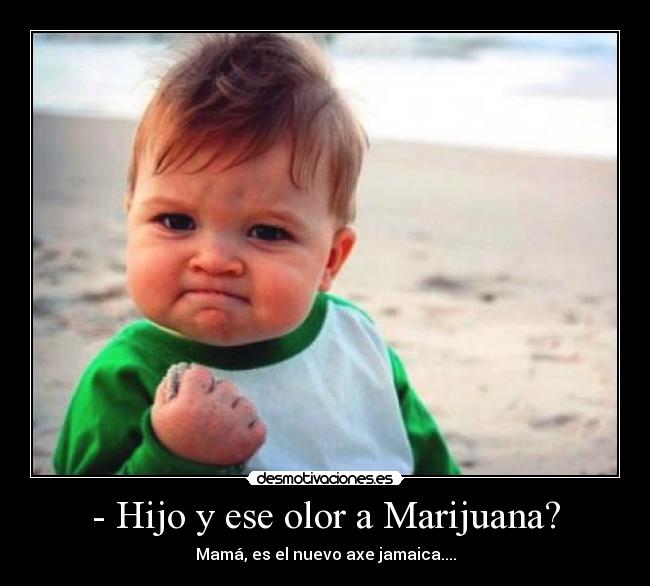 - Hijo y ese olor a Marijuana? -