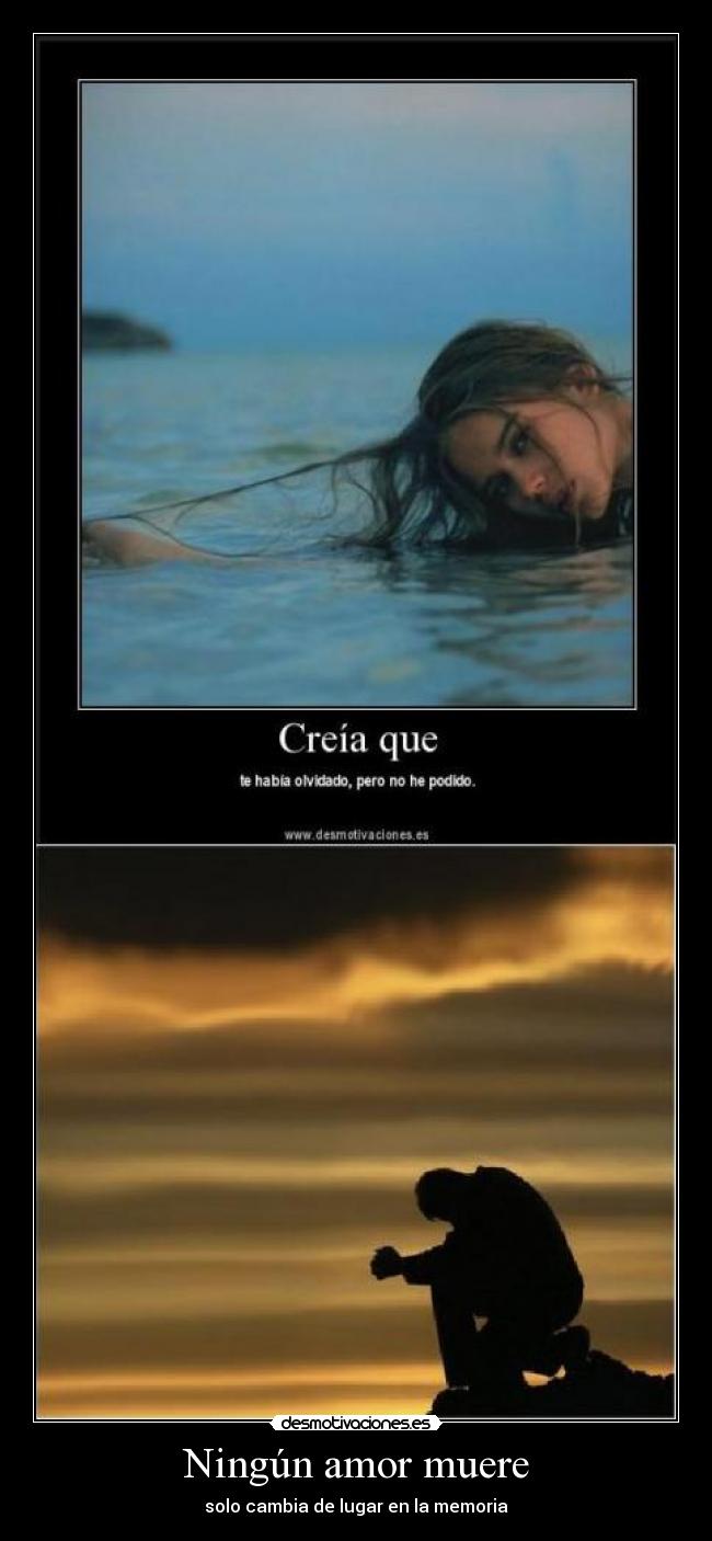 Ningún amor muere - solo cambia de lugar en la memoria