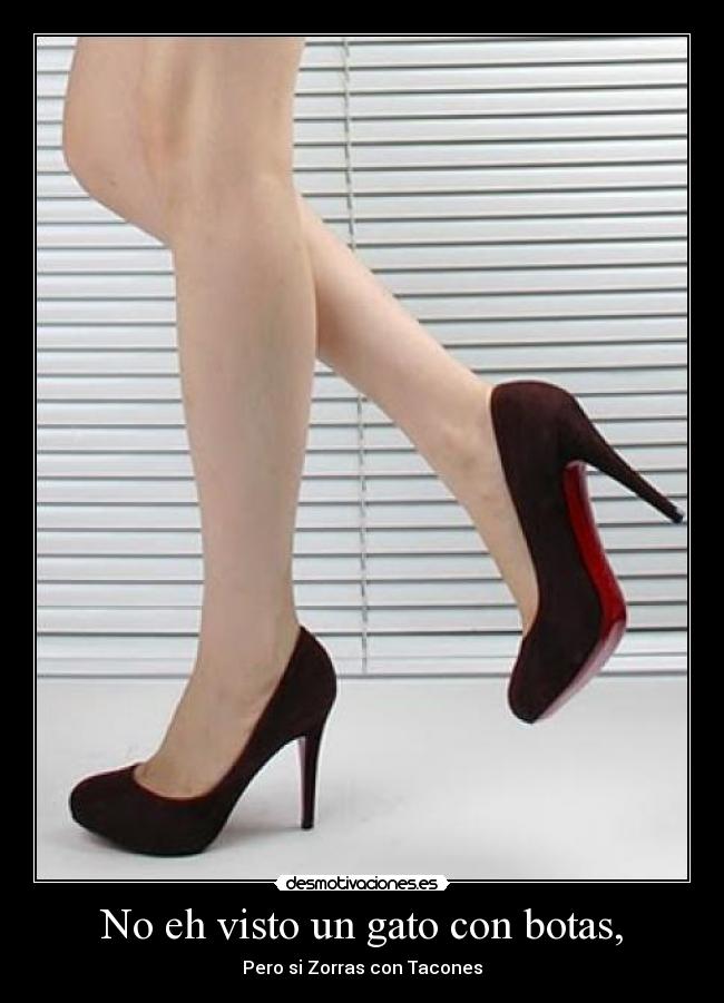 No eh visto un gato con botas, -